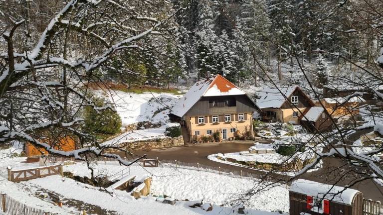Ferienwohnung  Haslach im Kinzigtal