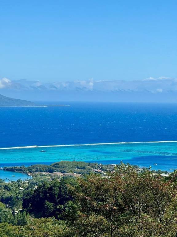 Chambre d'hôtes Moorea
