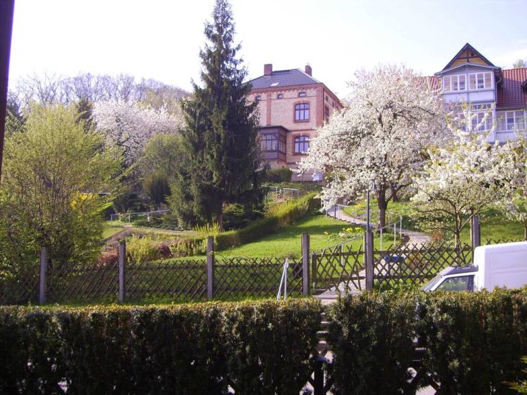 foto15