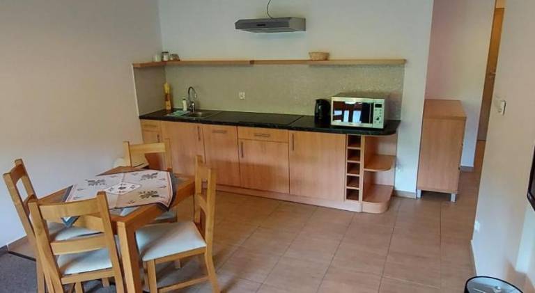 Apartment with garden & patio — photo 2