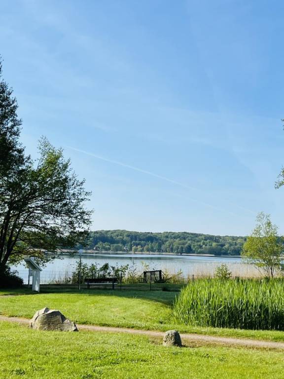 Rental apartment with sauna & patio — photo 3