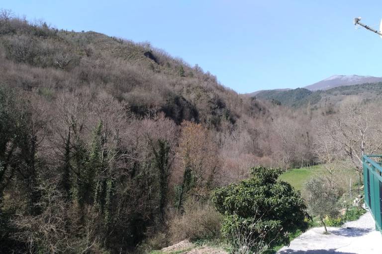 foto14