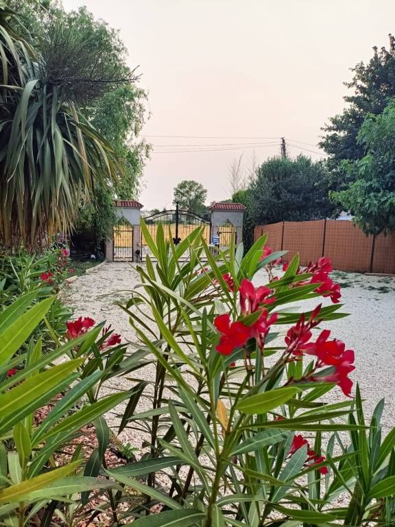 Maison de vacances  Moissac