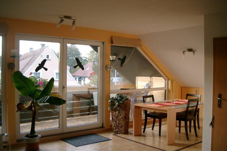 foto8