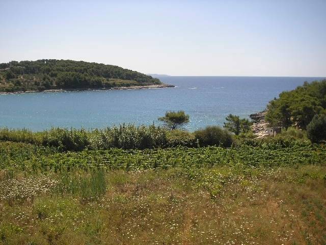 foto22