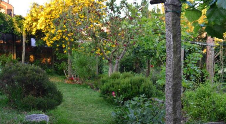 foto17