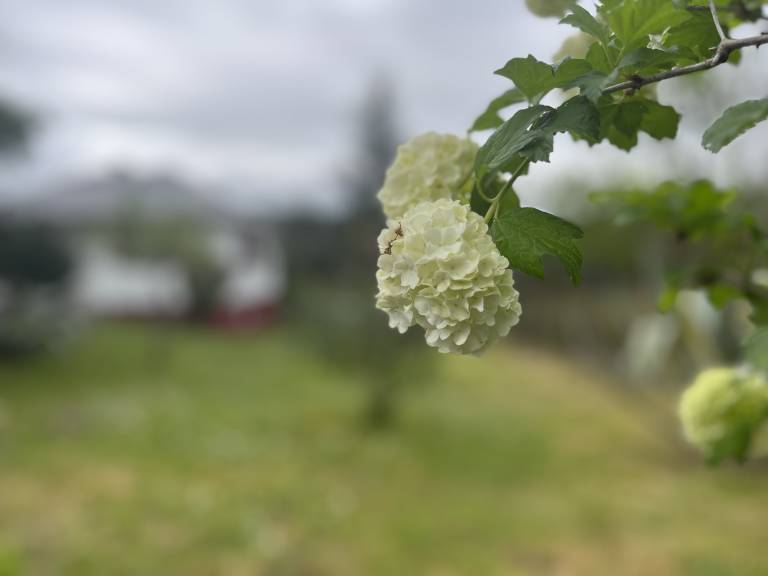 foto41