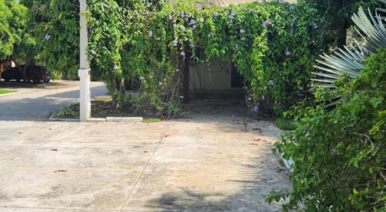 Villa with pool — photo 3