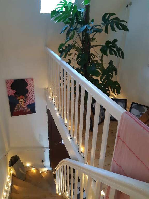 foto12