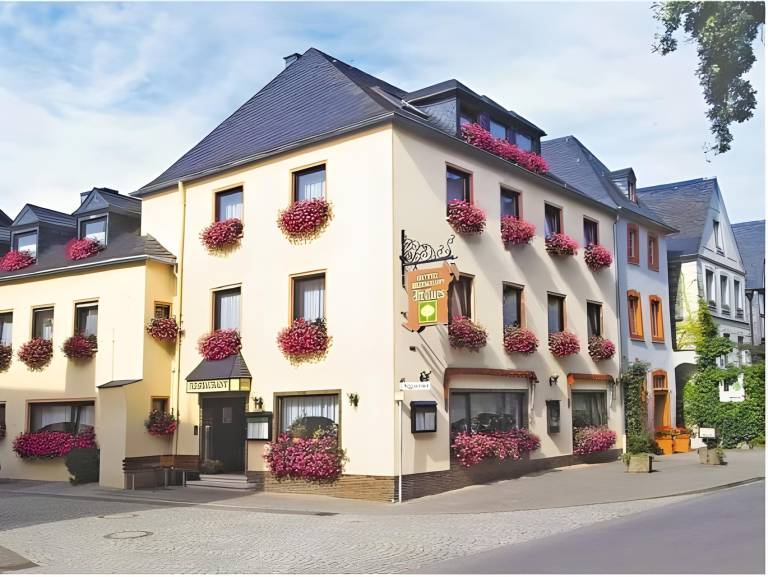 Hotel Alt Cues in Bernkastel-Kues