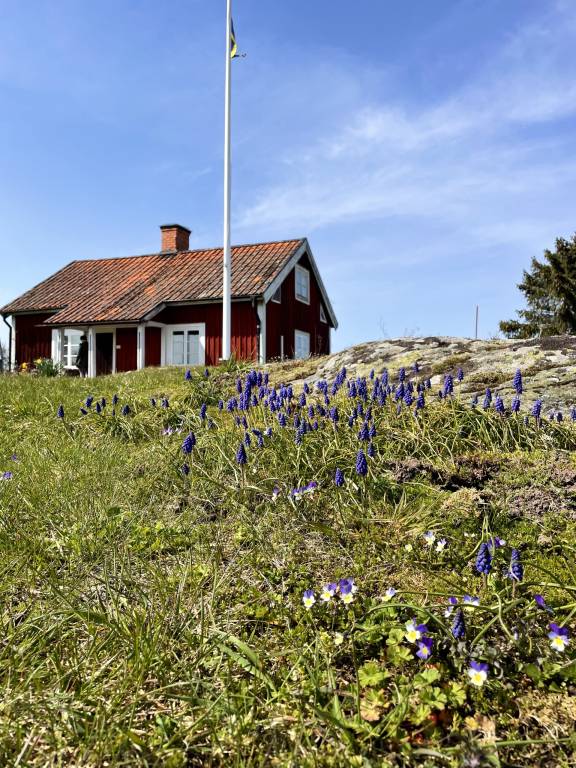 Ferienhaus Västra Husby