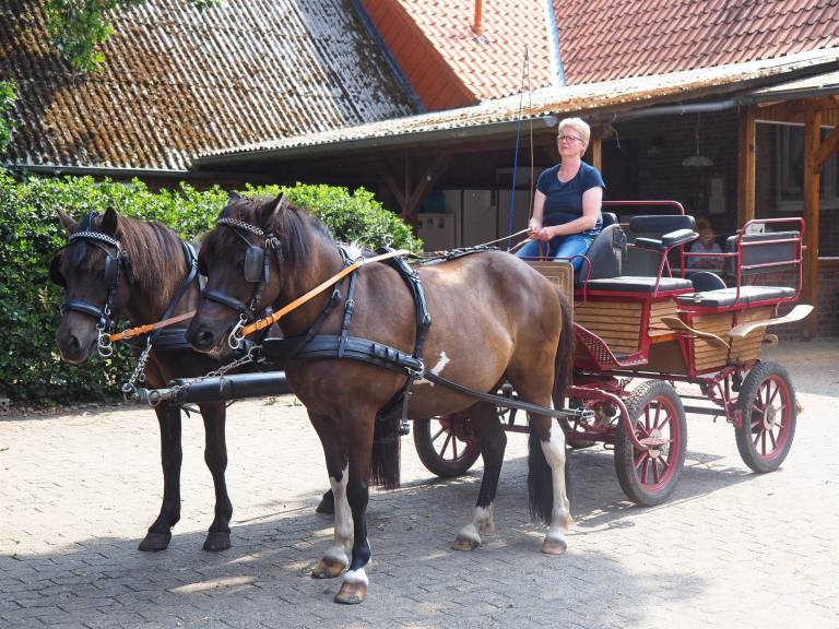 Scholbe, Ferienhof — photo 2