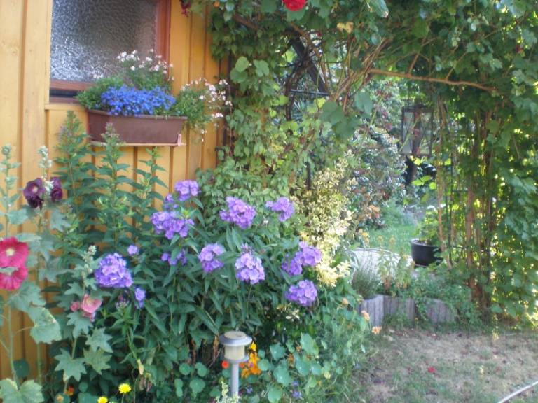 foto2
