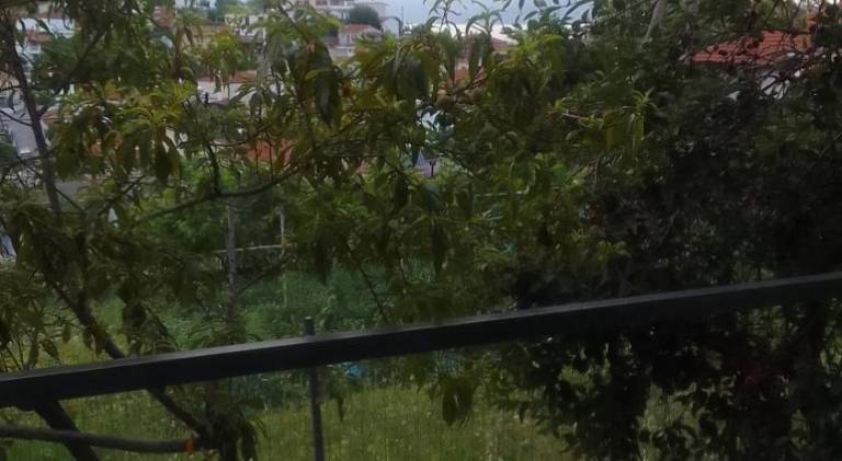 foto13