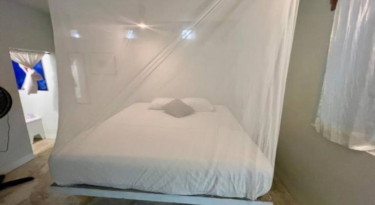 foto40