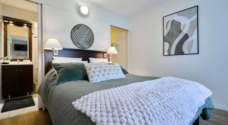 Beautiful apartment | Near Citadel of Lille | Dogs allowed in Lille