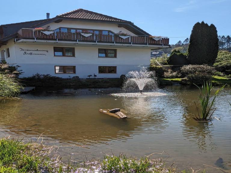 foto3