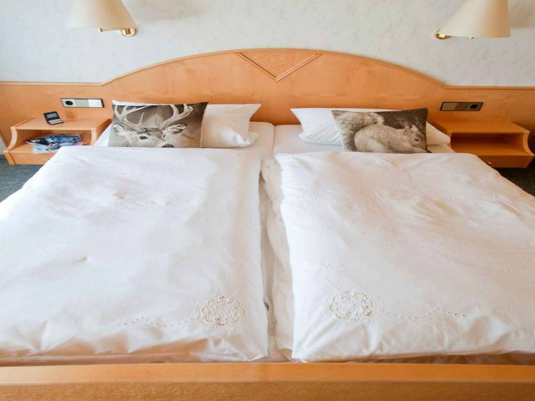 Ferienwohnung  Kniebis