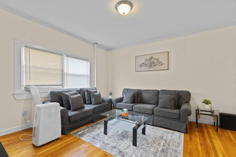 Apartment  Chestnut Hill