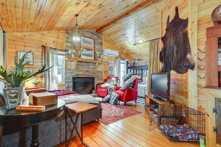 Pet-Friendly Haleyville Cabin Rental w/ Kayaks! — photo 3