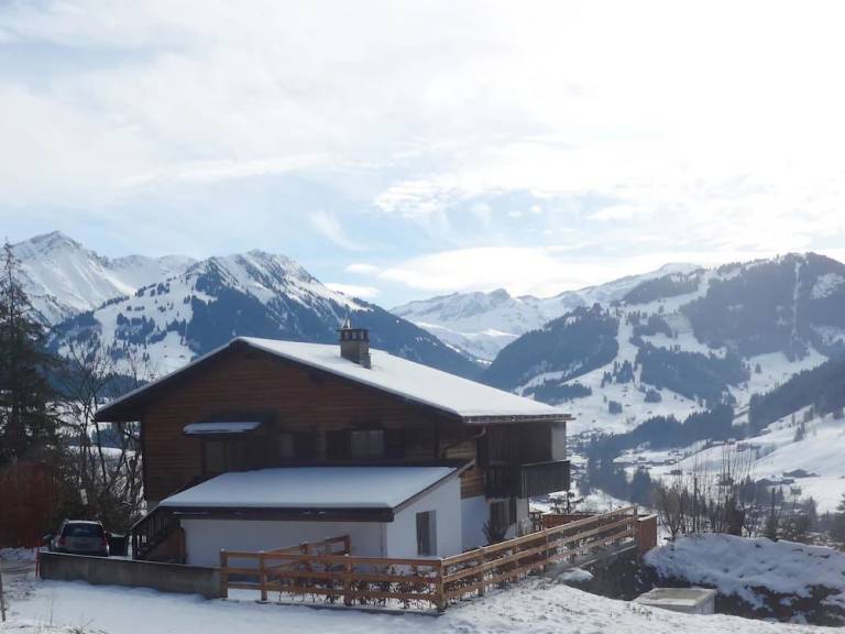 Apartment  Gstaad