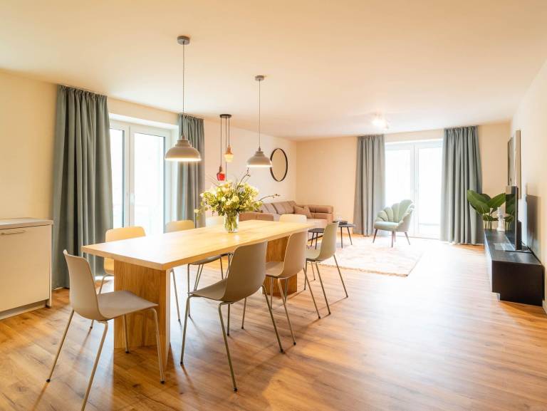 Ferienwohnung  Gohrisch