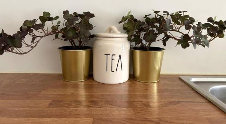 Holiday apartment | Pets are welcome — photo 5