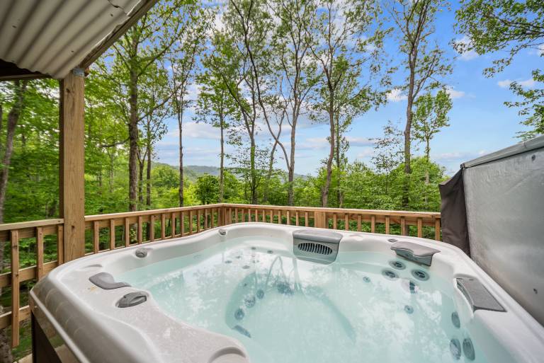 House  Beech Mountain