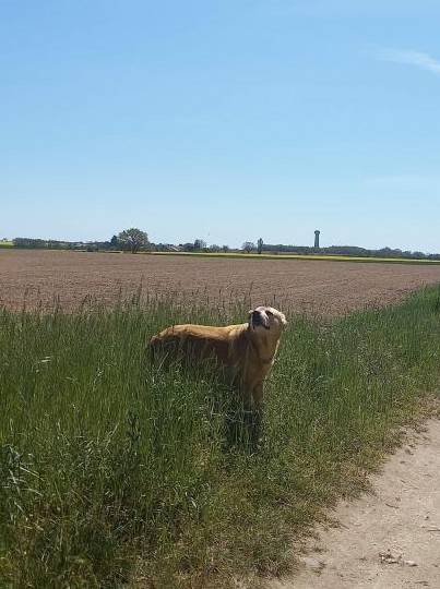 foto17