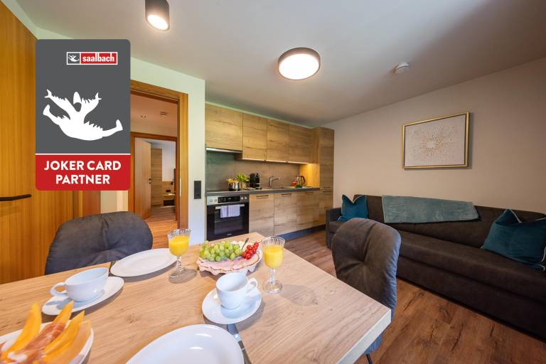 Appartement  Saalbach-Hinterglemm