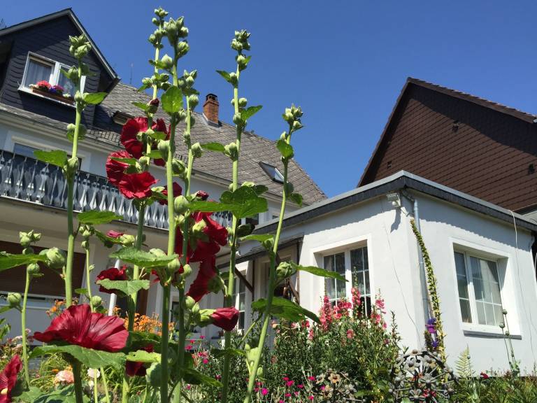 Ferienwohnung Greifenstein