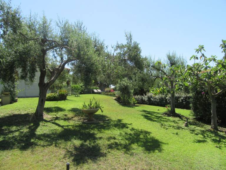 Beautiful vacation home with terrace, yard & barbeque | Nature view | Beach nearby | Dogs allowed — photo 5