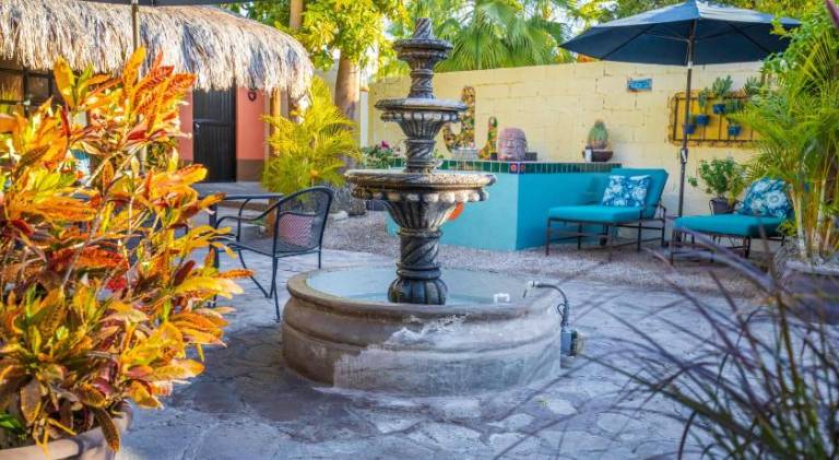 Iguana Inn — photo 5