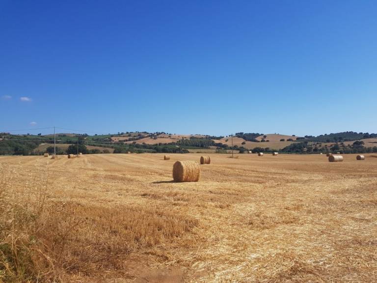 foto41