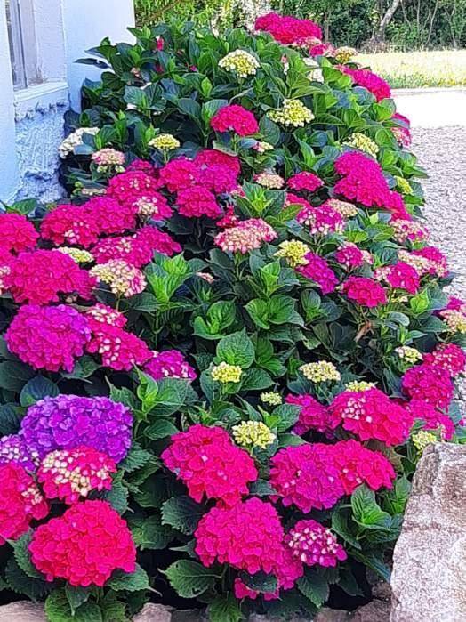 foto8