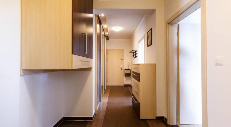 Rental apartment | Pets are welcome — photo 3