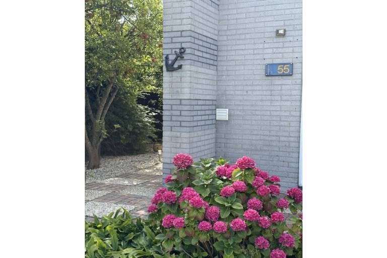 foto14