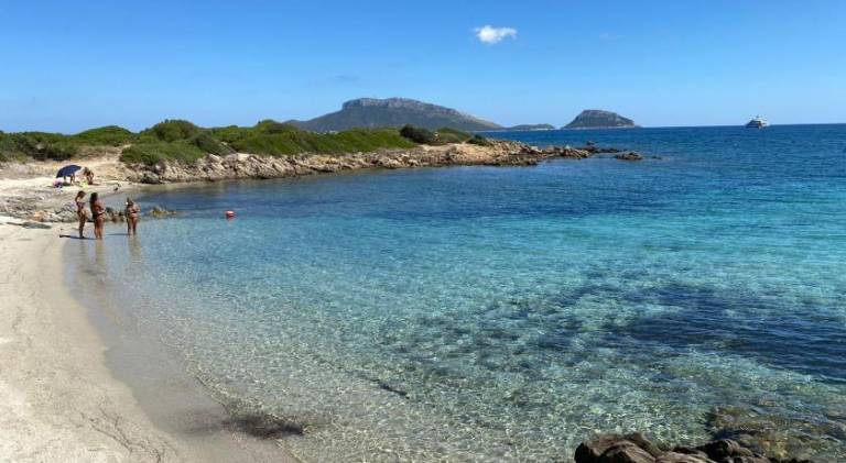 Rental apartment | Beach nearby | Pets allowed in Golfo Aranci