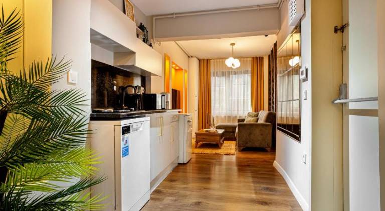 Pleasant serviced apartment with terrace | Close to Galata Tower | Pets allowed in Istanbul