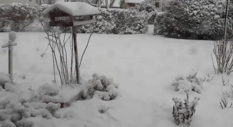 foto3