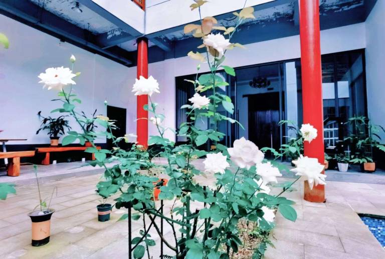 XiangLu YiMo · Valley Retreat Guesthouse — photo 4