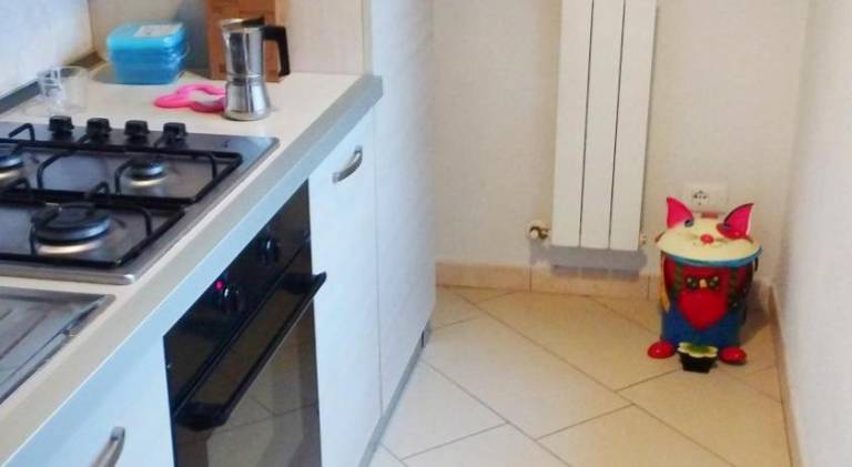 Holiday apartment with 1 room for 4 persons — photo 5