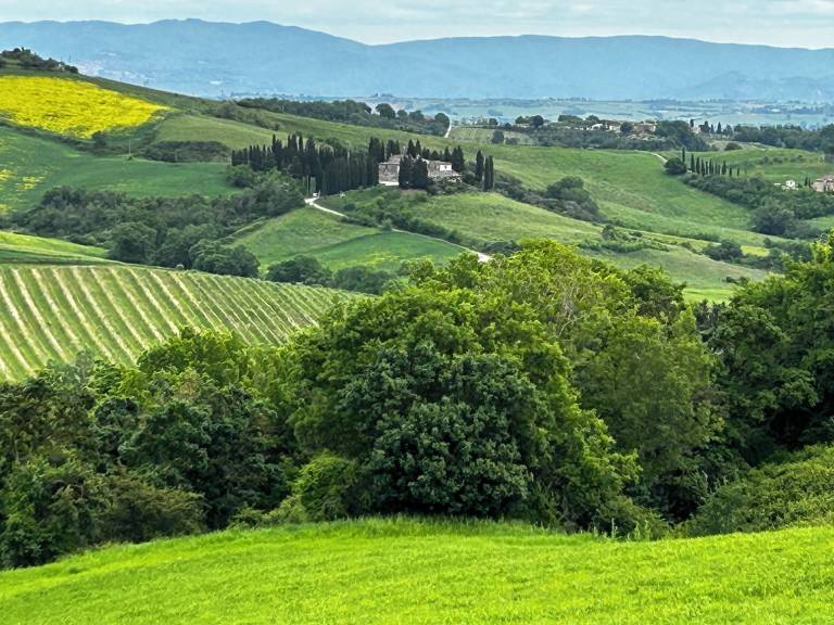 Appartamento vacanza Montepulciano