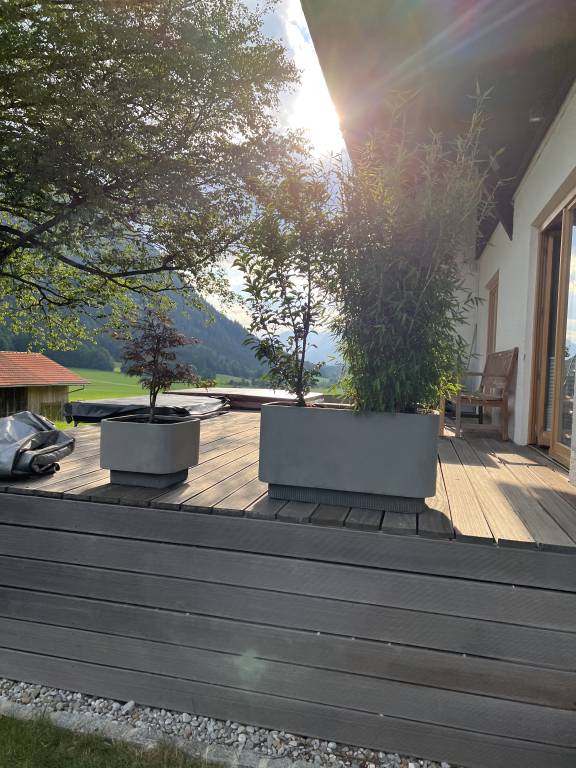foto11