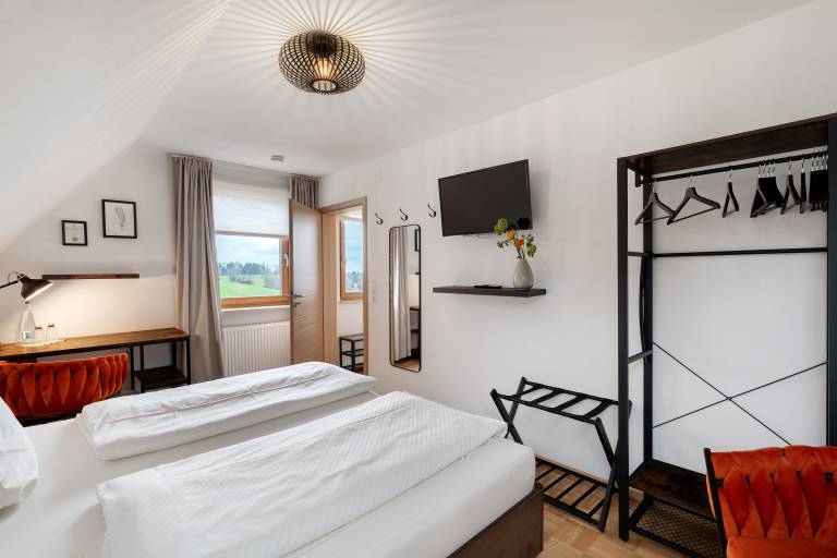 Room 'Doppelzimmer 6 Premium' with Shared Terrace, Shared Garden and Wi-Fi in Karlsruhe