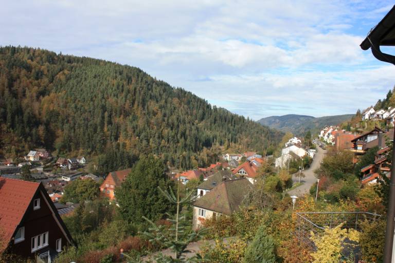 foto11