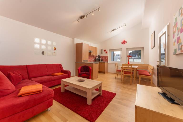 Children-friendly lovely apartment | Next to the ski | Pets are welcome in Schladming