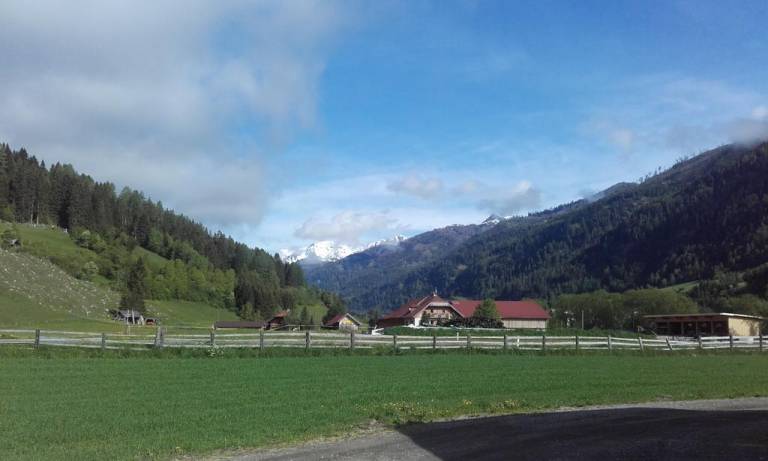 foto4