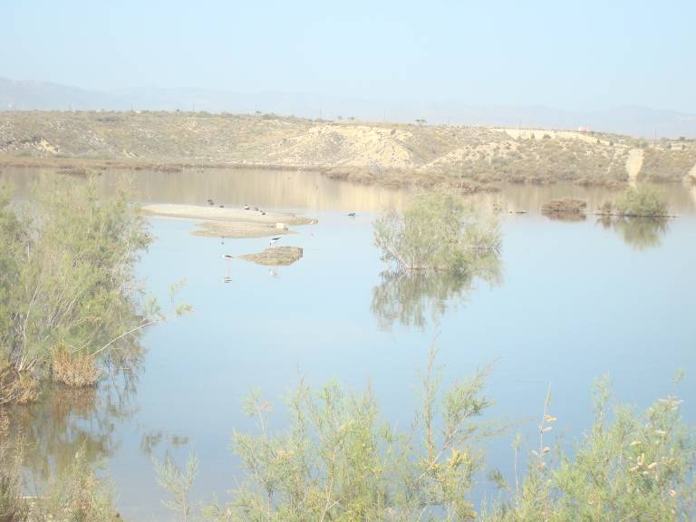 foto2