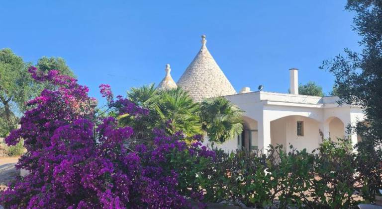 Pleasant house | Pets are welcome in Ostuni